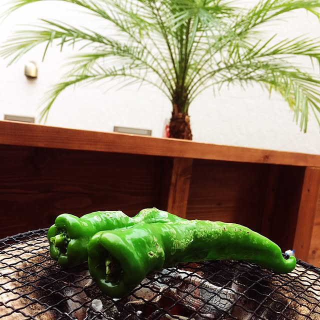 DJholleyさんの実例写真