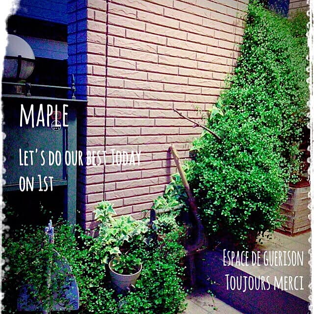 mapleさんの実例写真