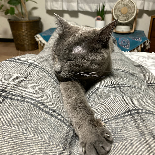 73さんの実例写真