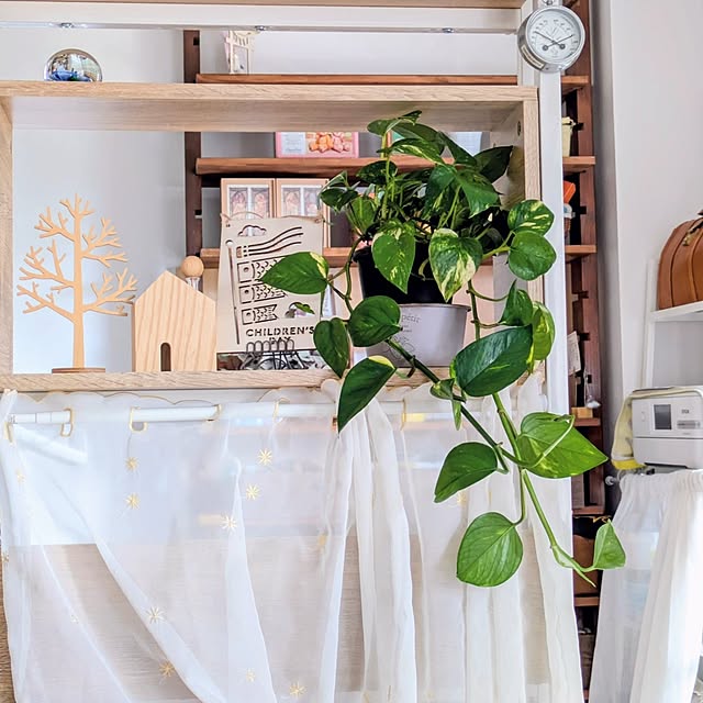 mi-saさんの部屋