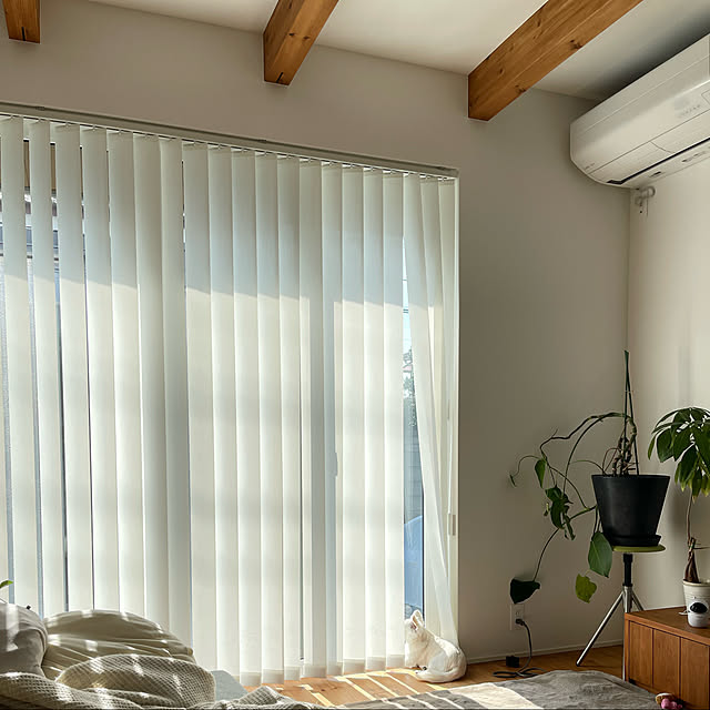 部屋全体のインテリア実例 - 2021-11-23 03:54:36
