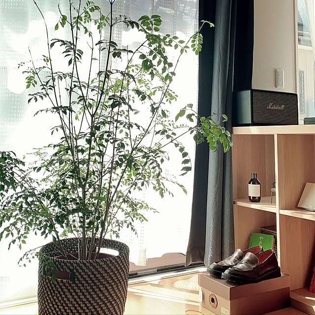 Kazuki___roomさんの実例写真