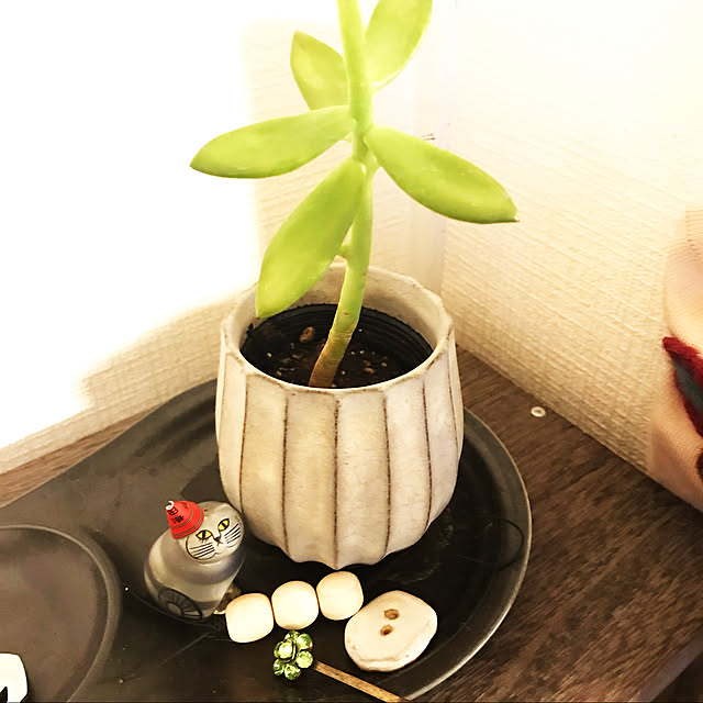 クリスマス/棚のインテリア実例 - 2019-11-28 14:37:29