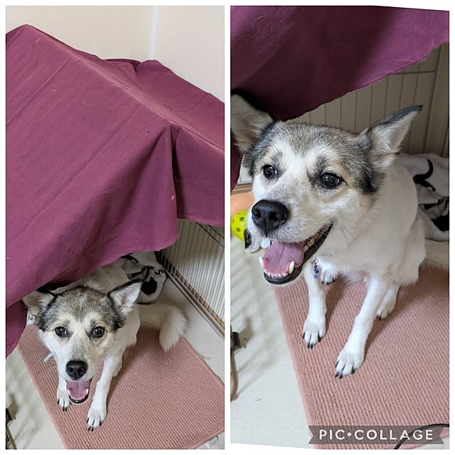 asaさんの部屋