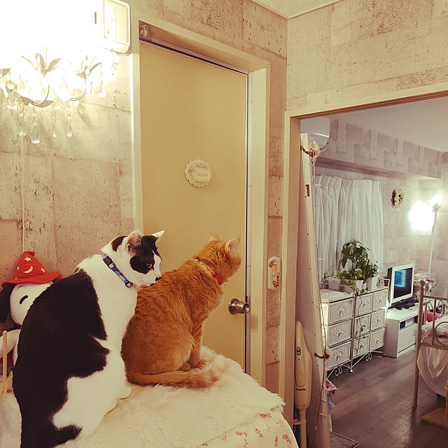 asuminさんの実例写真