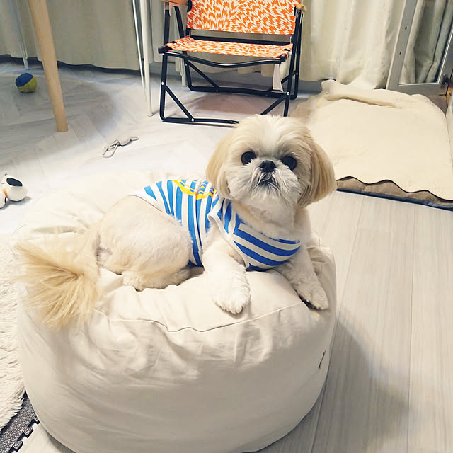 yukagomaさんの実例写真