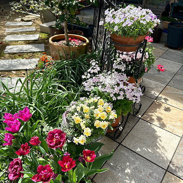 violetさんの部屋