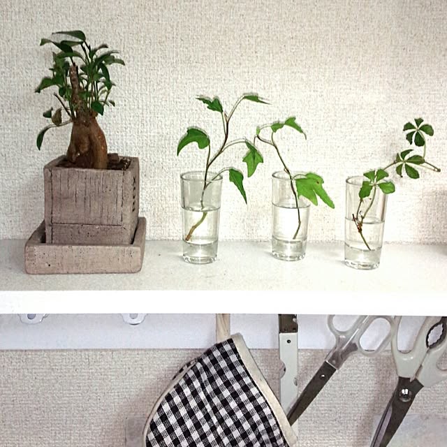 rk5kuuさんの実例写真