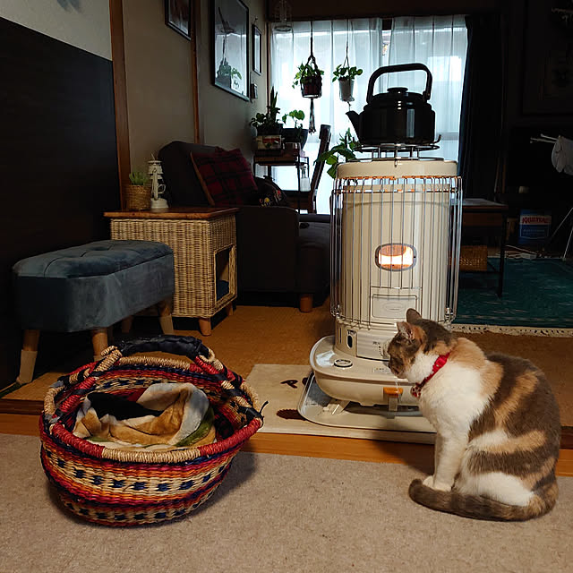 fukuさんの実例写真