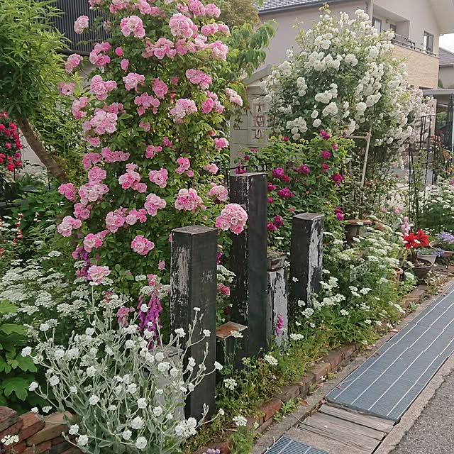 tomotomoさんの部屋