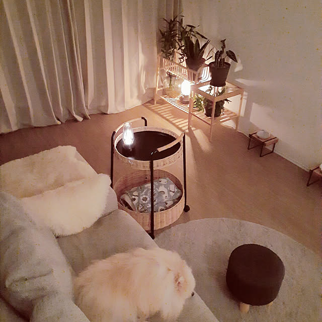 noahさんの実例写真