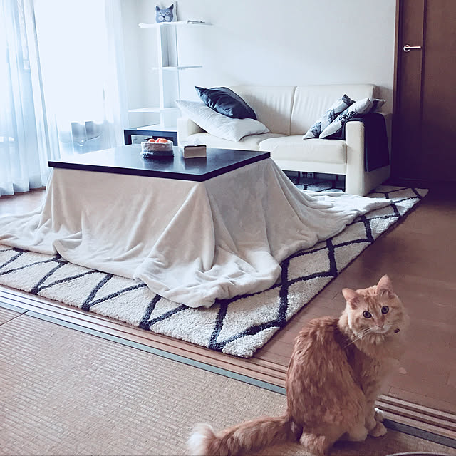 Ryokoさんの実例写真