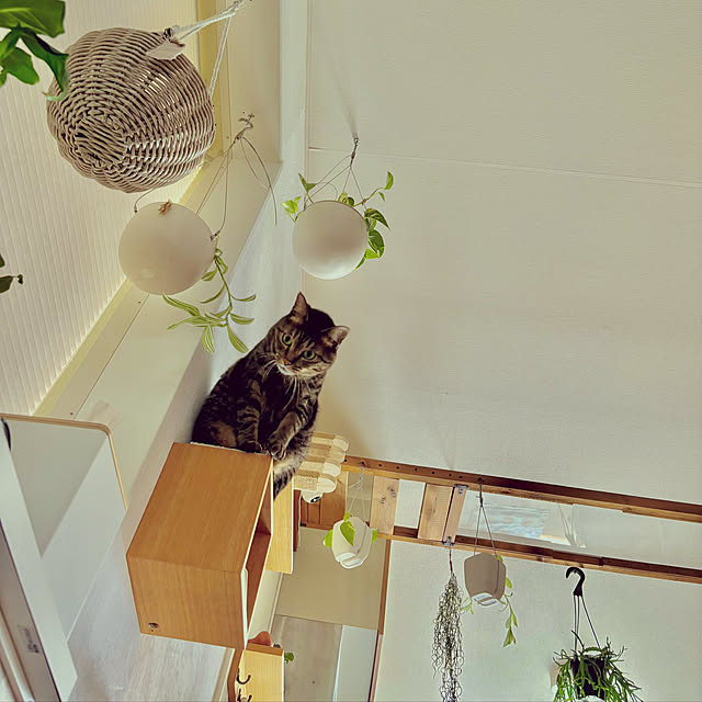 masamasaさんの部屋