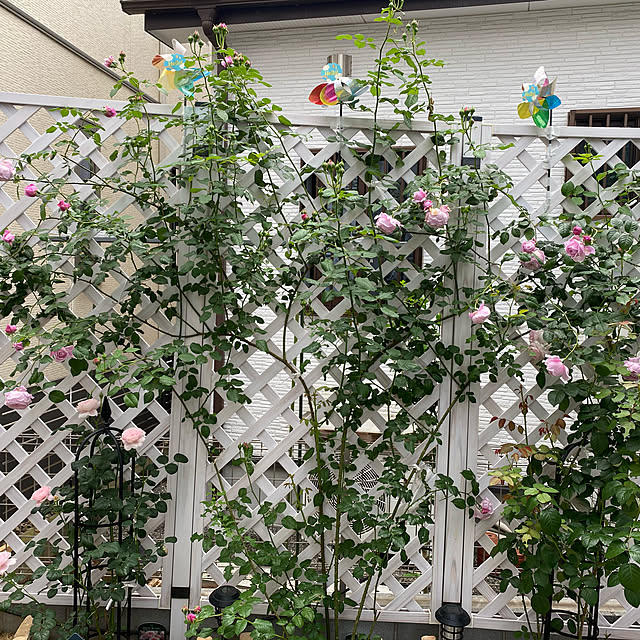 lunaさんの実例写真