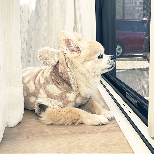 sea.musicさんの実例写真