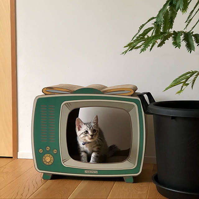 lemonさんの実例写真