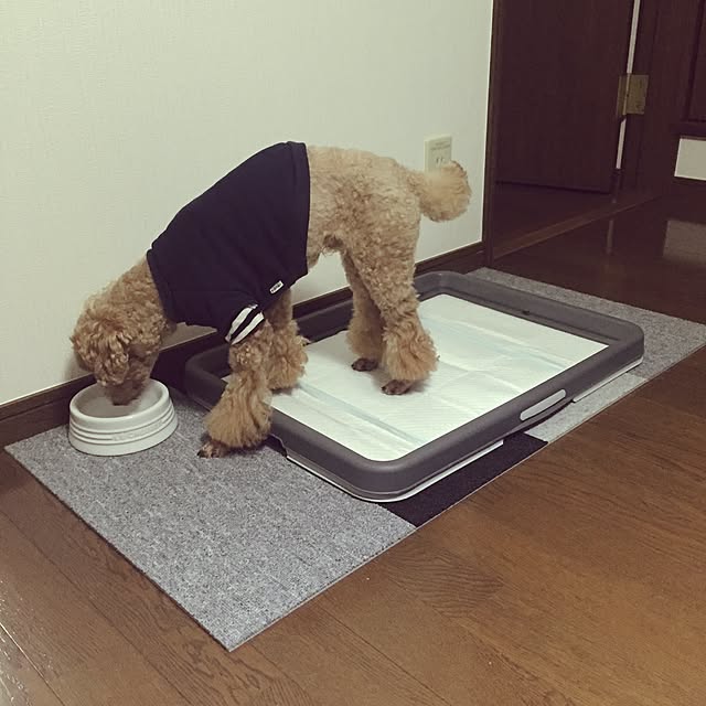 akichanaさんの実例写真