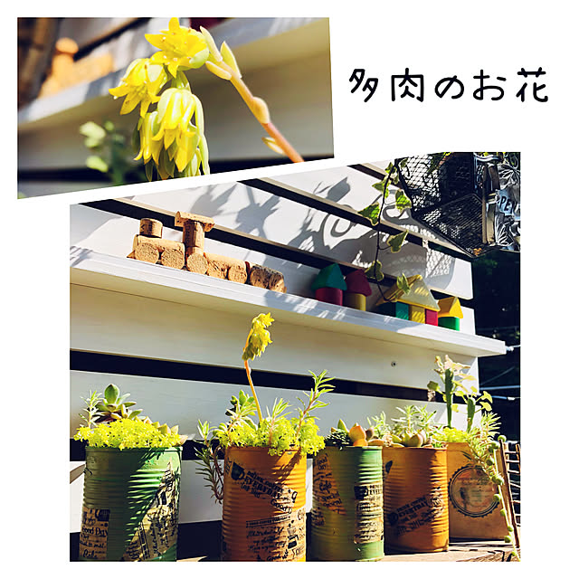 NAOさんの実例写真