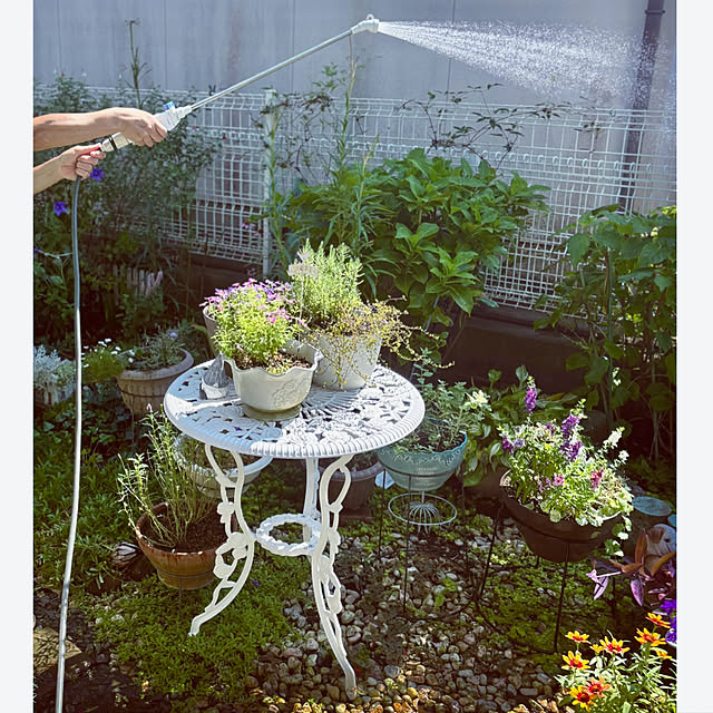 CoCo0617さんの部屋