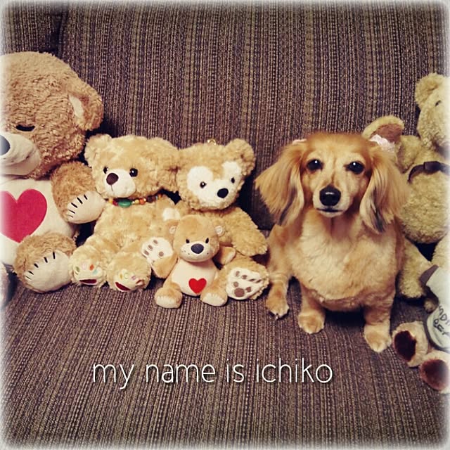 ichikomamaさんの実例写真