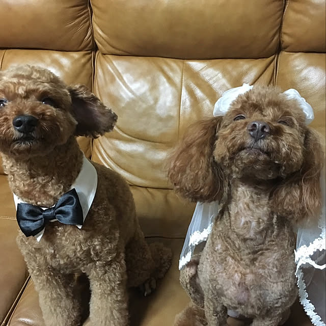 hiro.tさんの実例写真