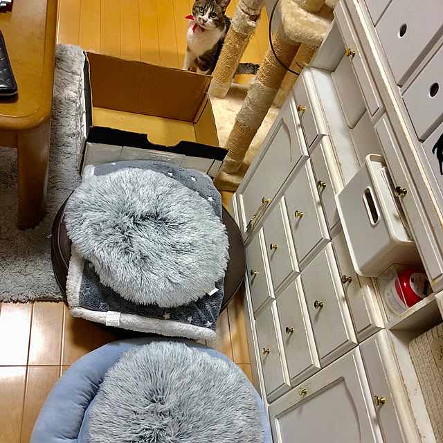 nnmmさんの実例写真
