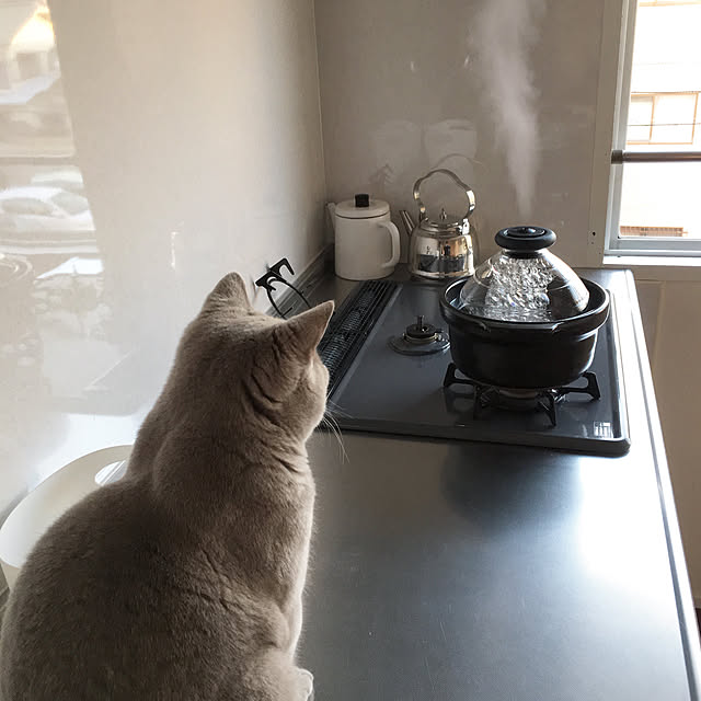 chulashihoさんの実例写真