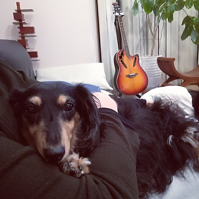 Jijiさんの実例写真
