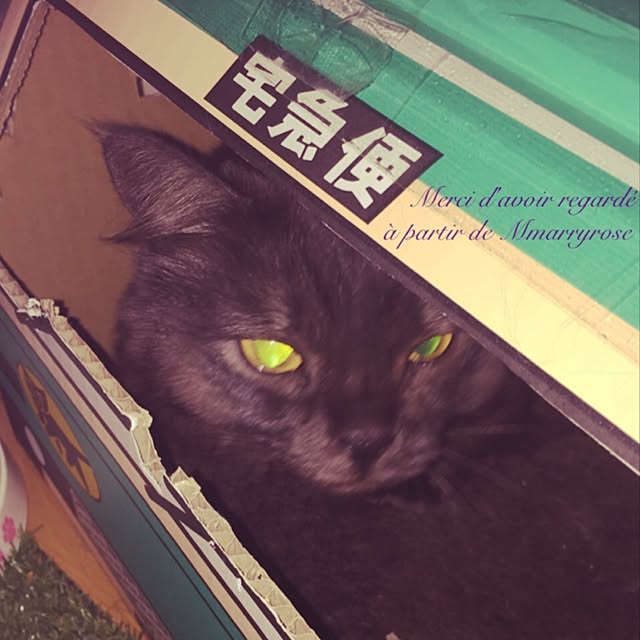 maria.rさんの実例写真