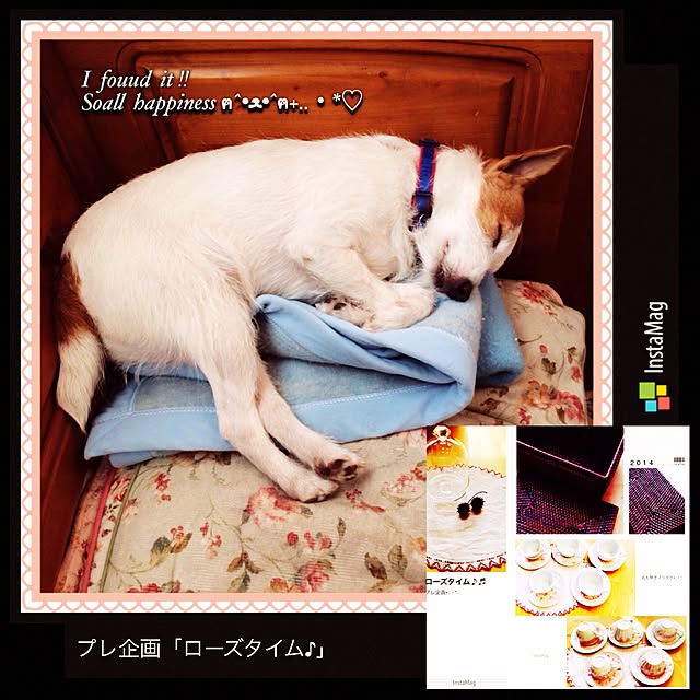 20rose_mamiさんの実例写真