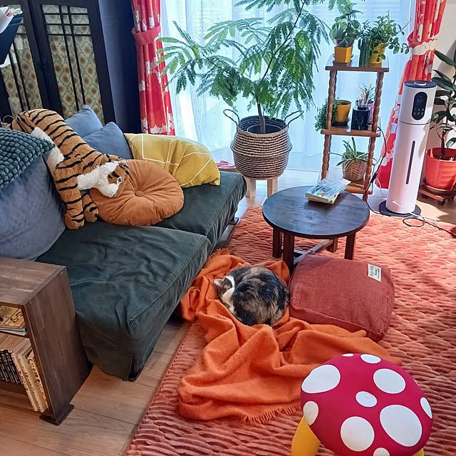 funnyfaceさんの実例写真