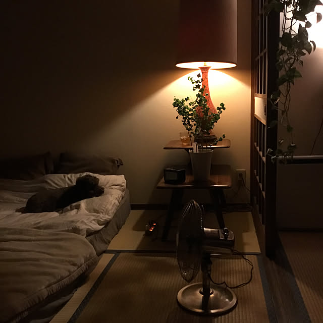 tamaさんの実例写真
