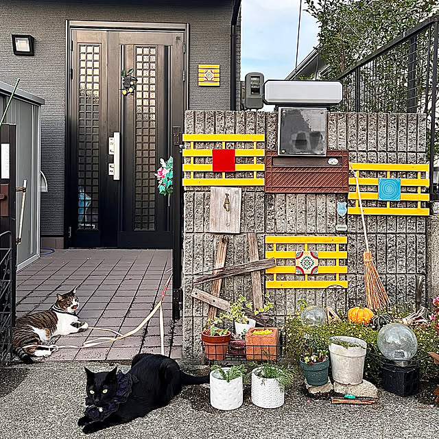 jijiさんの実例写真