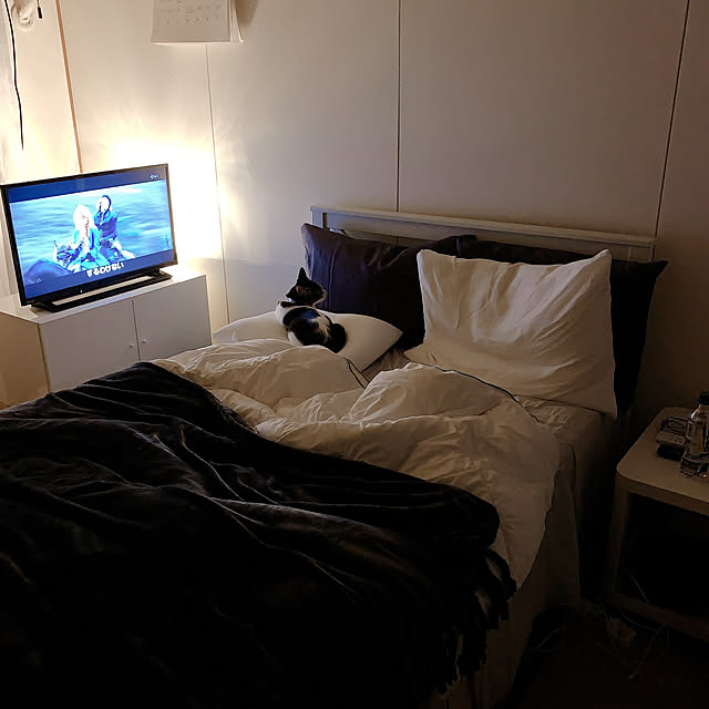 Shihoさんの実例写真