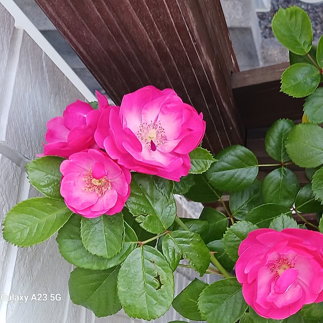 aiさんの部屋