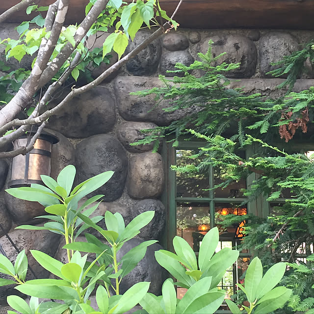 kamelittoさんの実例写真