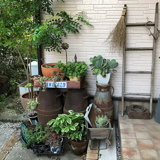NaNanさんの実例写真
