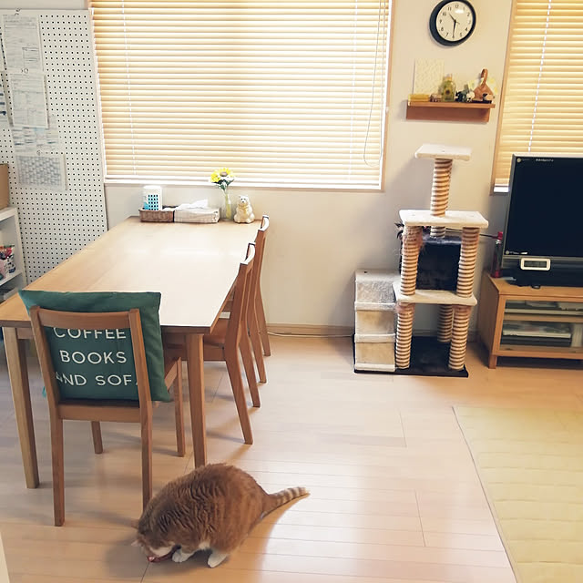 mi123さんの実例写真