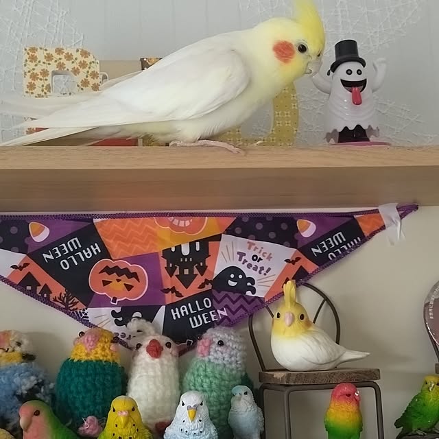 toratanさんの部屋