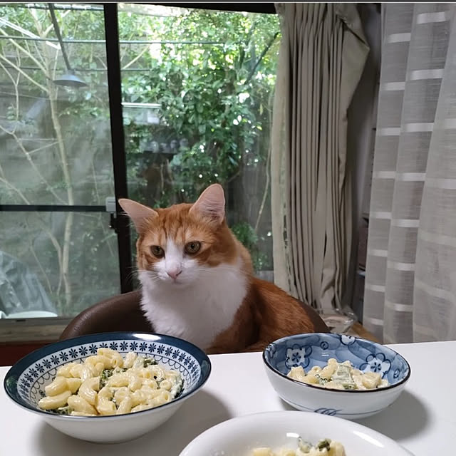 mori_6_12さんの実例写真