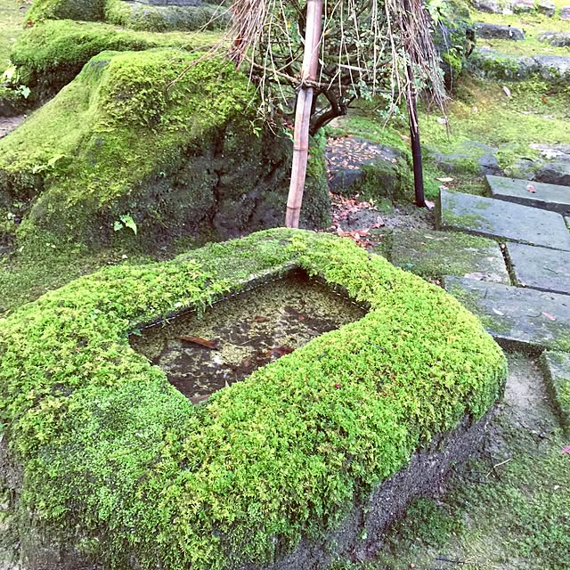 meloさんの実例写真