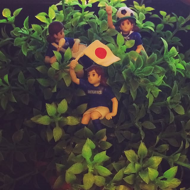 shizukunoboukenさんの実例写真