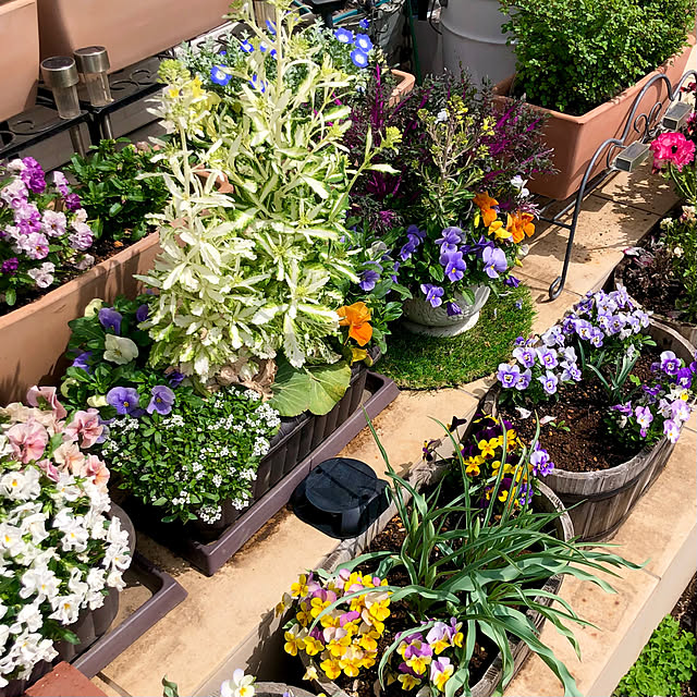 tomoさんの実例写真