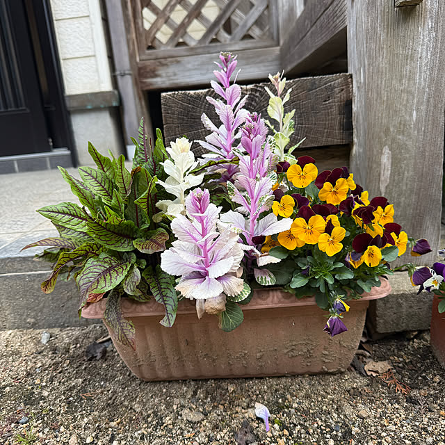sakakenさんの実例写真