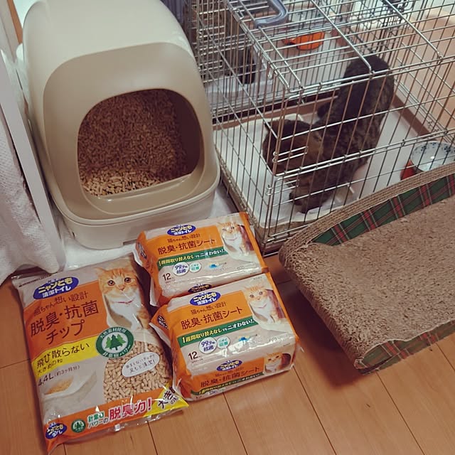 noguriさんの部屋