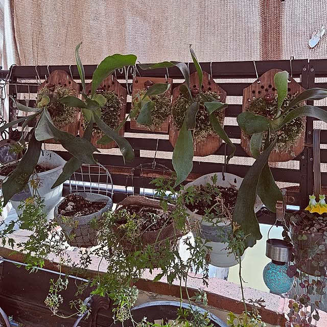 mocomocoさんの部屋