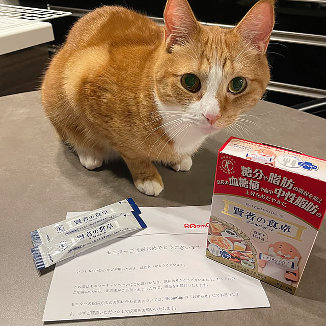 maimaiさんの実例写真