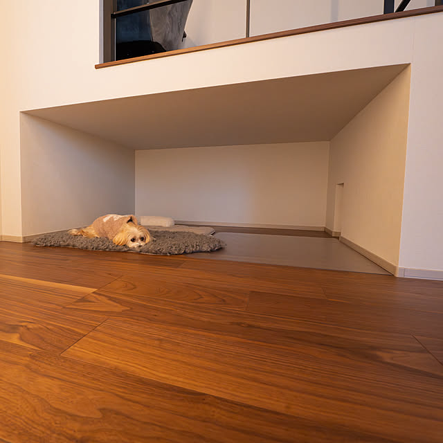 Lm_casaさんの実例写真