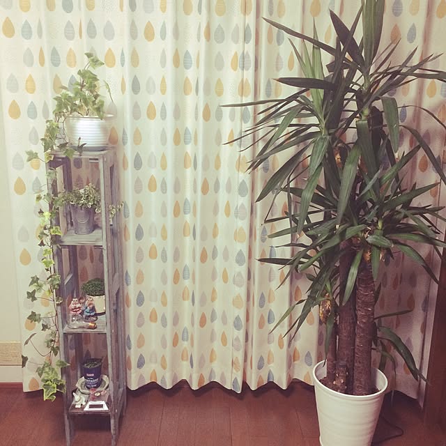 IKEさんの実例写真