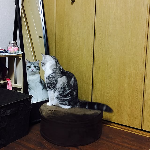narashimhaさんの実例写真